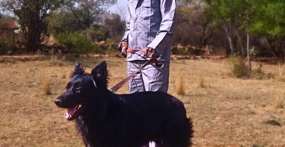 WhatsApp Image 2025-10-27 at 08.52.39_54203825